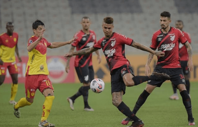 竹子是中国 竹子是中国