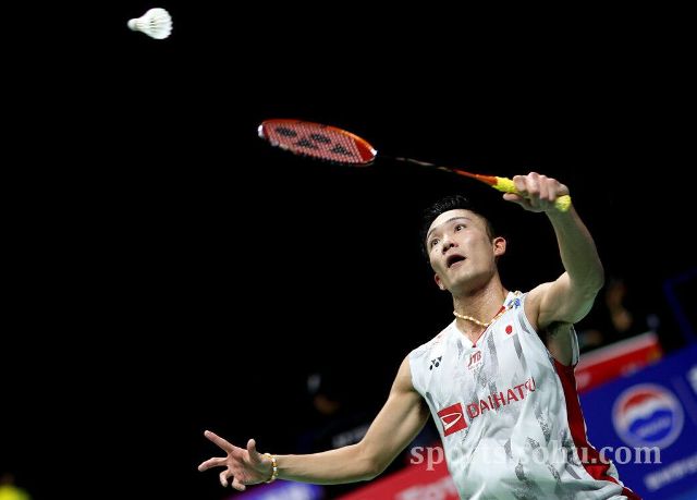 也大大提升 也大大提升