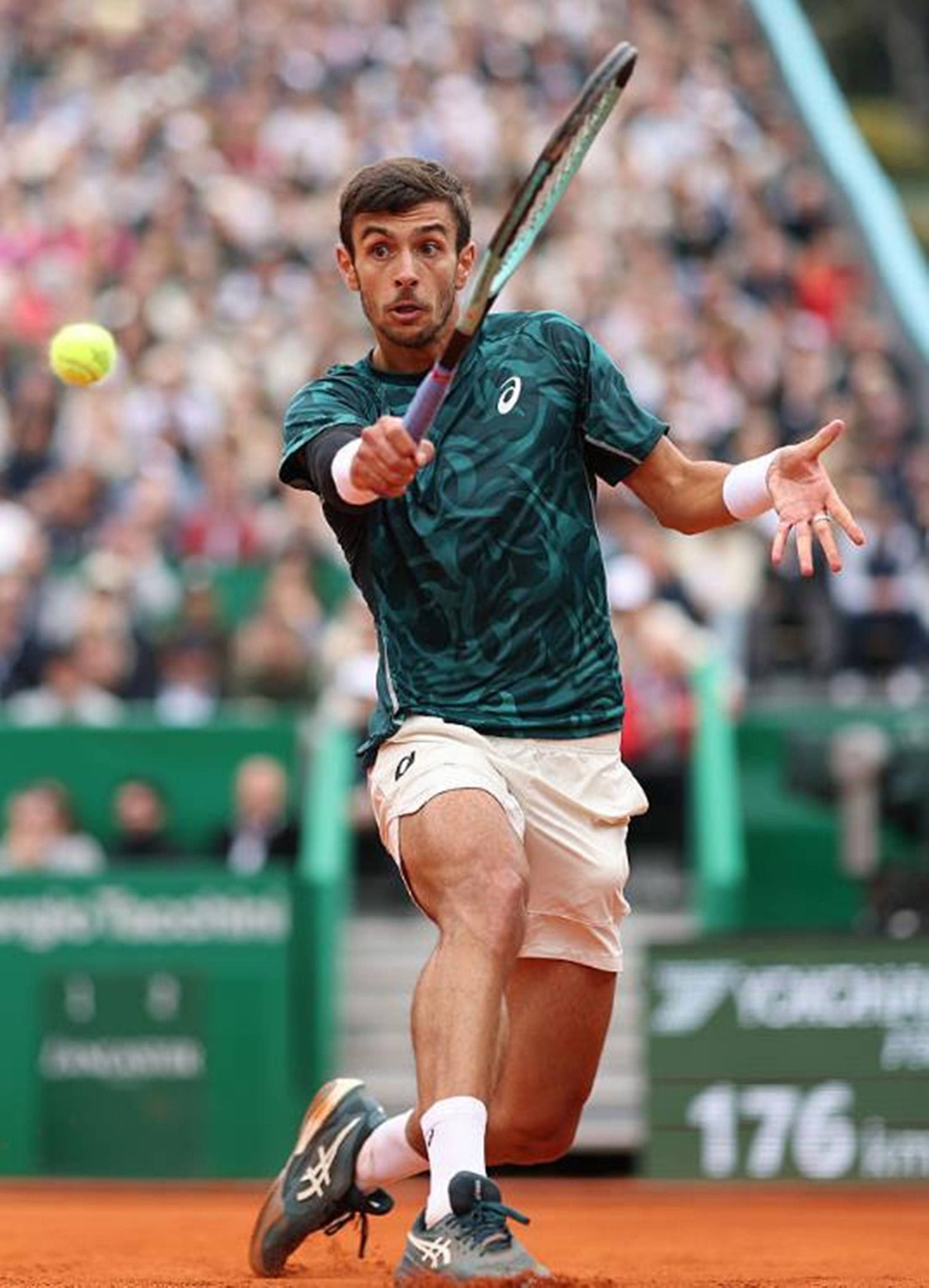 以视野和兵 以视野和兵